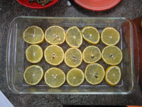 a single layer of lemons
